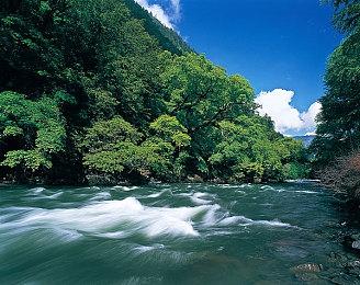 英任官网显示 《冠军冲刺》NS版将于6月21日发布